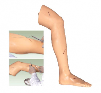 Senior Surgical Leg Suture Training Model